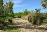 Untere Lobau
