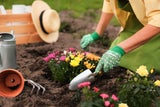 Im Mai: Diese wichtigen Gartenarbeiten dürfen Sie jetzt nicht verschlafen