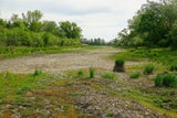 Untere Lobau