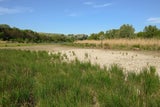 Untere Lobau