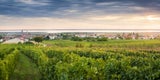 Diese Tagesausflüge rund um Wien sind perfekt für den Feiertag