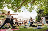 Yoga Junkies Festival