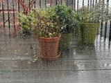 Unwetter-Gefahr: So machen Sie Balkon und Terrasse sturmsicher