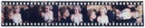 Vom Gartenzaun bis zum BH: Diese intimen Marilyn-Monroe-Objekte kommen unter den Hammer