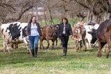 Der Wurzerhof zeigt, wie sich Tradition und gelebte Nachhaltigkeit zukunftsfähig verbinden lassen. Die Kühe genießen eine wesensgerechte Haltung mit viel Auslauf und Weidegang.&nbsp; &nbsp;