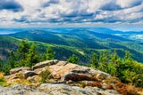 Bayerischer Wald