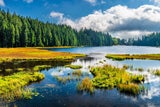 Bayerischer Wald