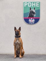 Polizeihund "Orlik" stöbert Einbrecher auf.