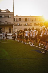 Vienna Knights