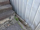 Mann nach Sturz Kopf eingeklemmt Aigen
