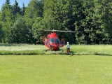 Mann nach Sturz Kopf eingeklemmt Aigen