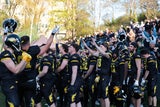 Vienna Knights