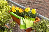 Wie oft sollte man Pflanzen bei Hitze wirklich gießen?