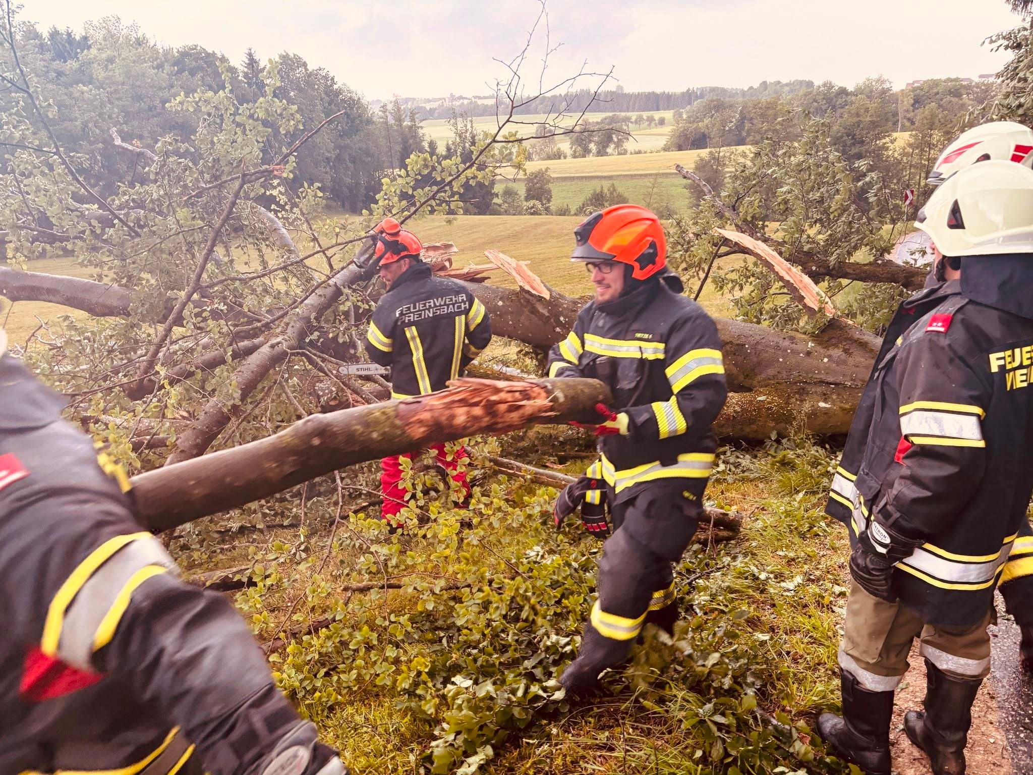 Nach einem Unwetter: Auf der L6025 blockierte ein Baum die Fahrbahn.