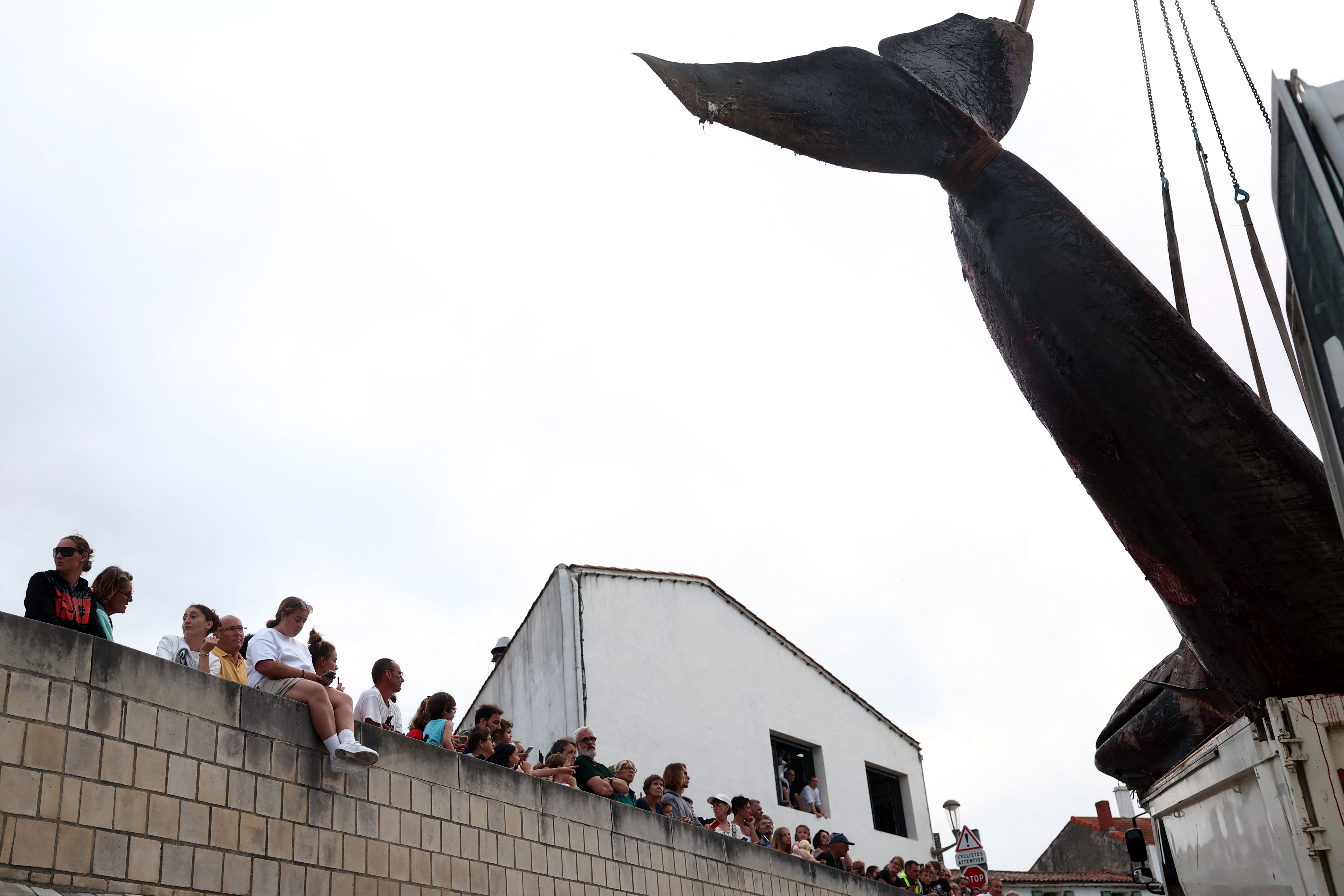 This photograph shows the carcass of a female whale, weighing over 12 tons and measuring 10 meters in length, lifted out of the ocean by a crane at Rivedoux, off France's western Atlantic coast, on May 30, 2026. A ten-meter-long female whale washed ashore and died on a beach on the Île de Ré, according to information released on May 29 by the Charente-Maritime prefecture and the national stranding network. (Photo by ROMAIN PERROCHEAU / AFP)
