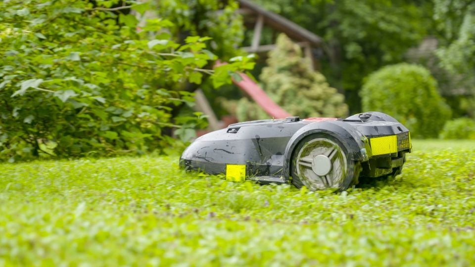 Mähroboter bei der Gartenarbeit