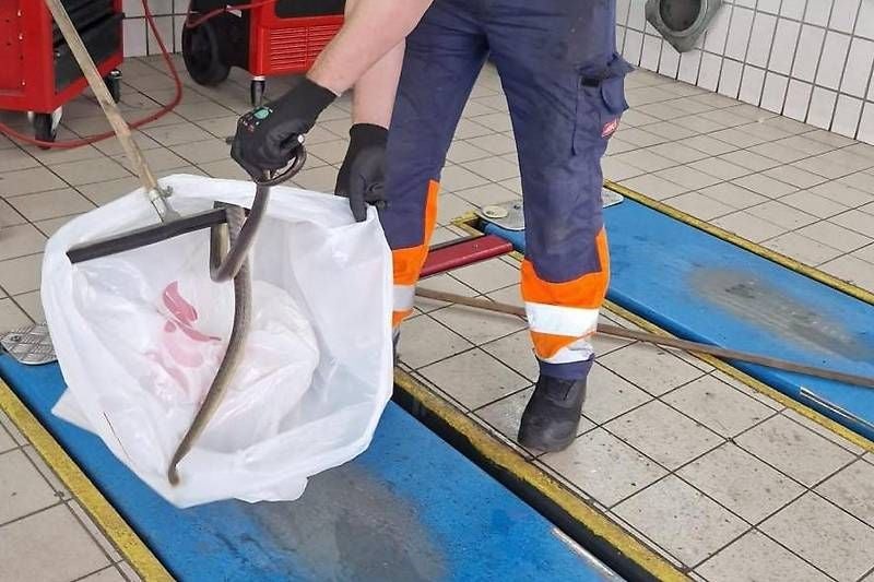 In einer Werkstätte.