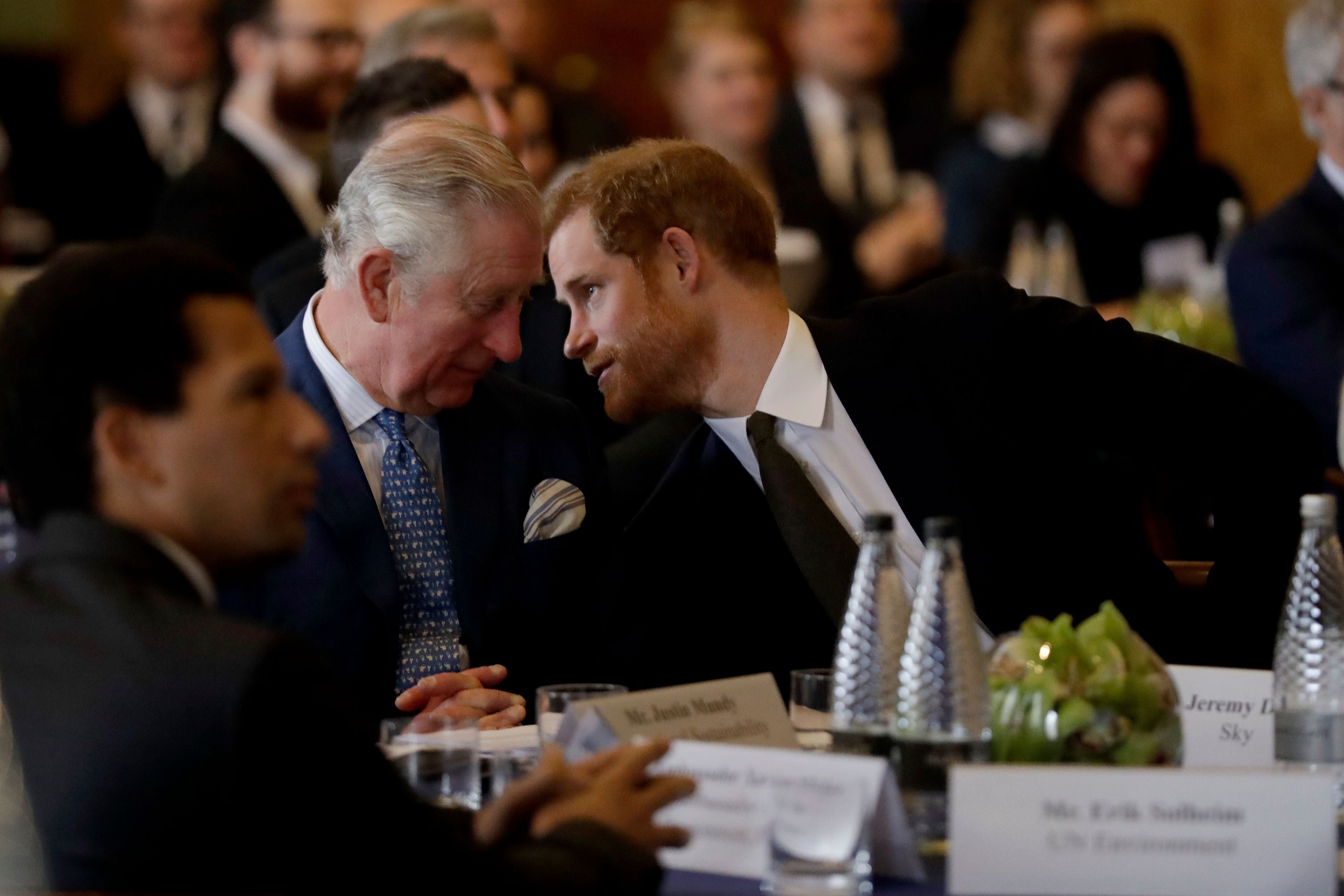 König Charles III. und Prinz Harry