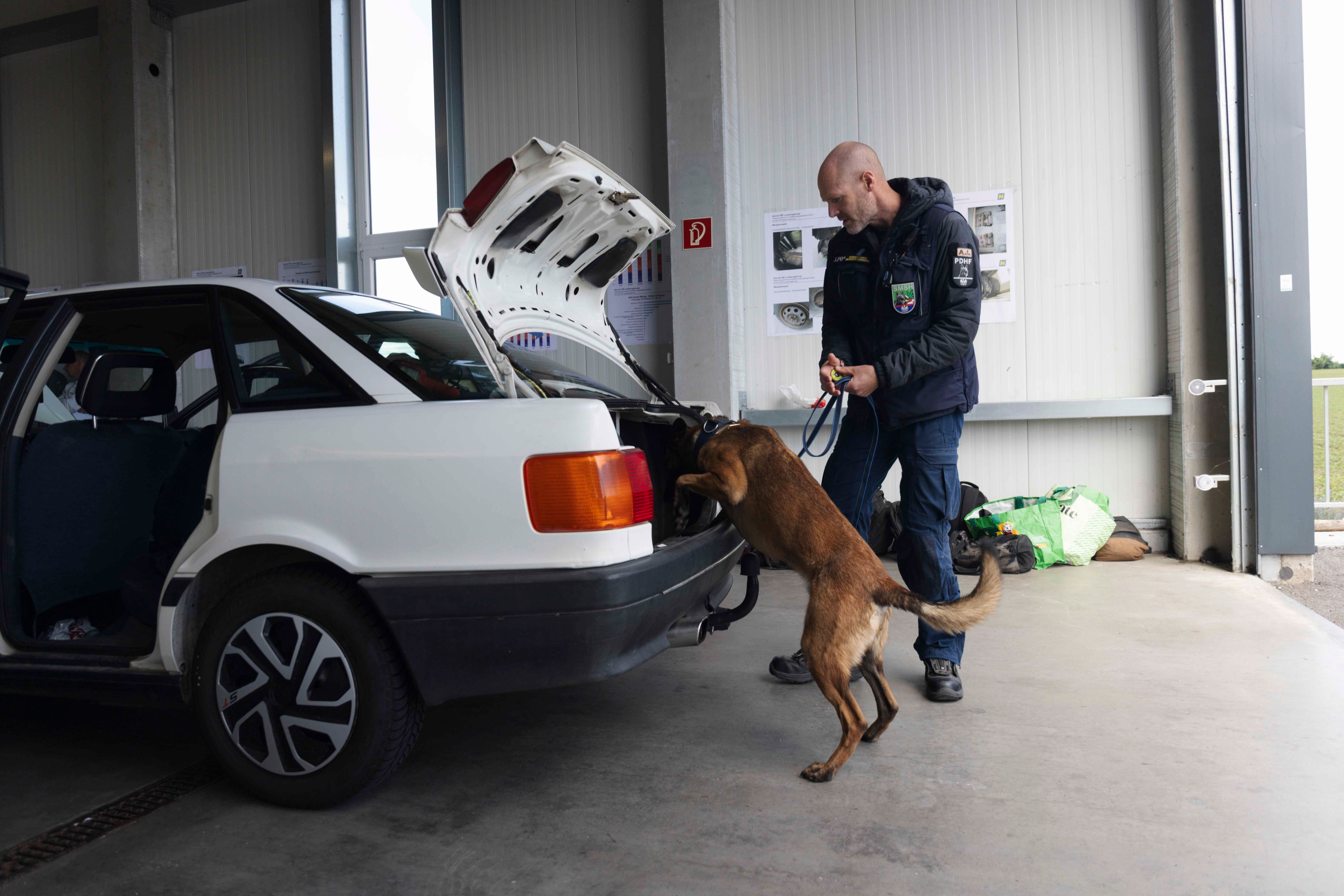 Drogenspürhund.