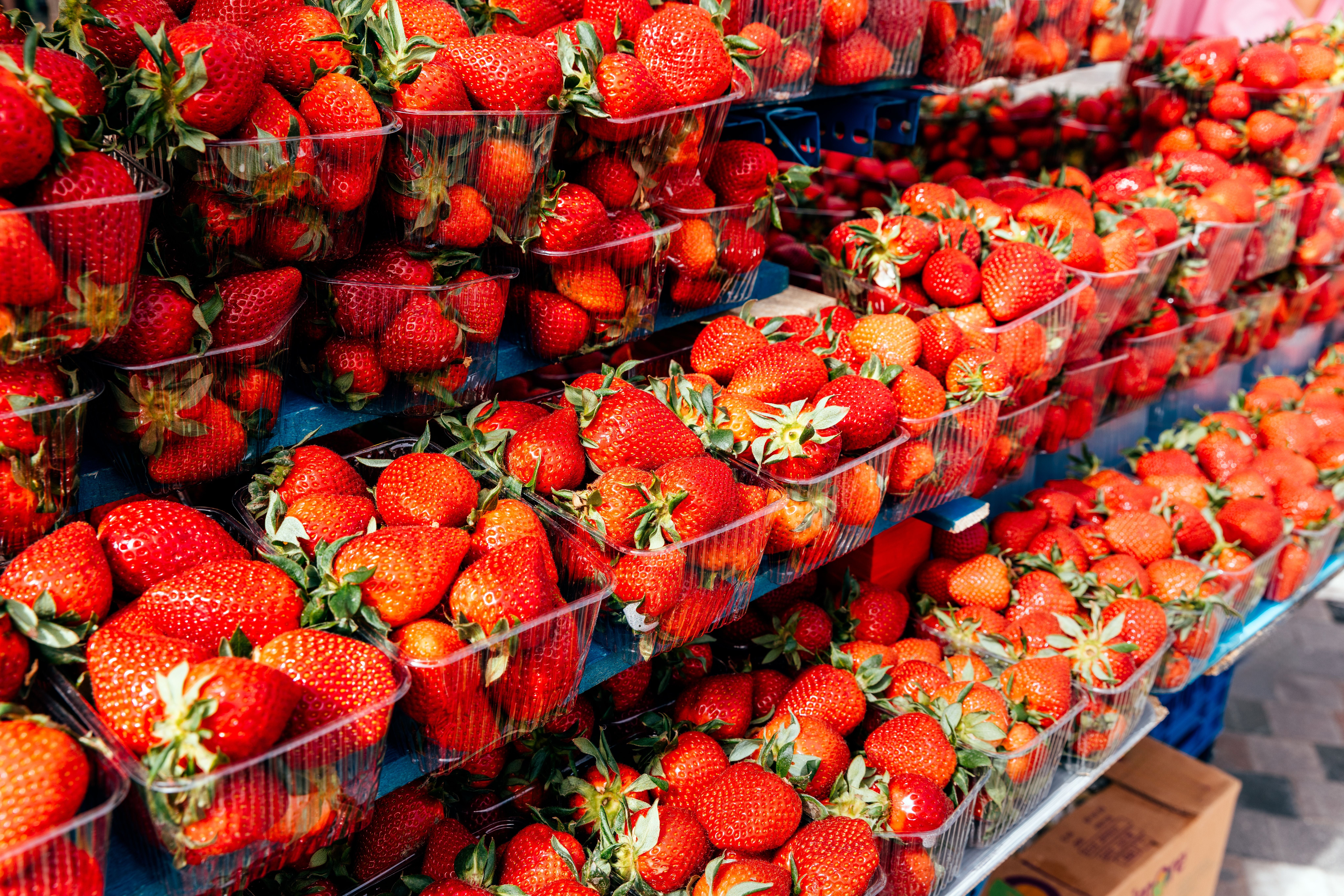 Erdbeeren
