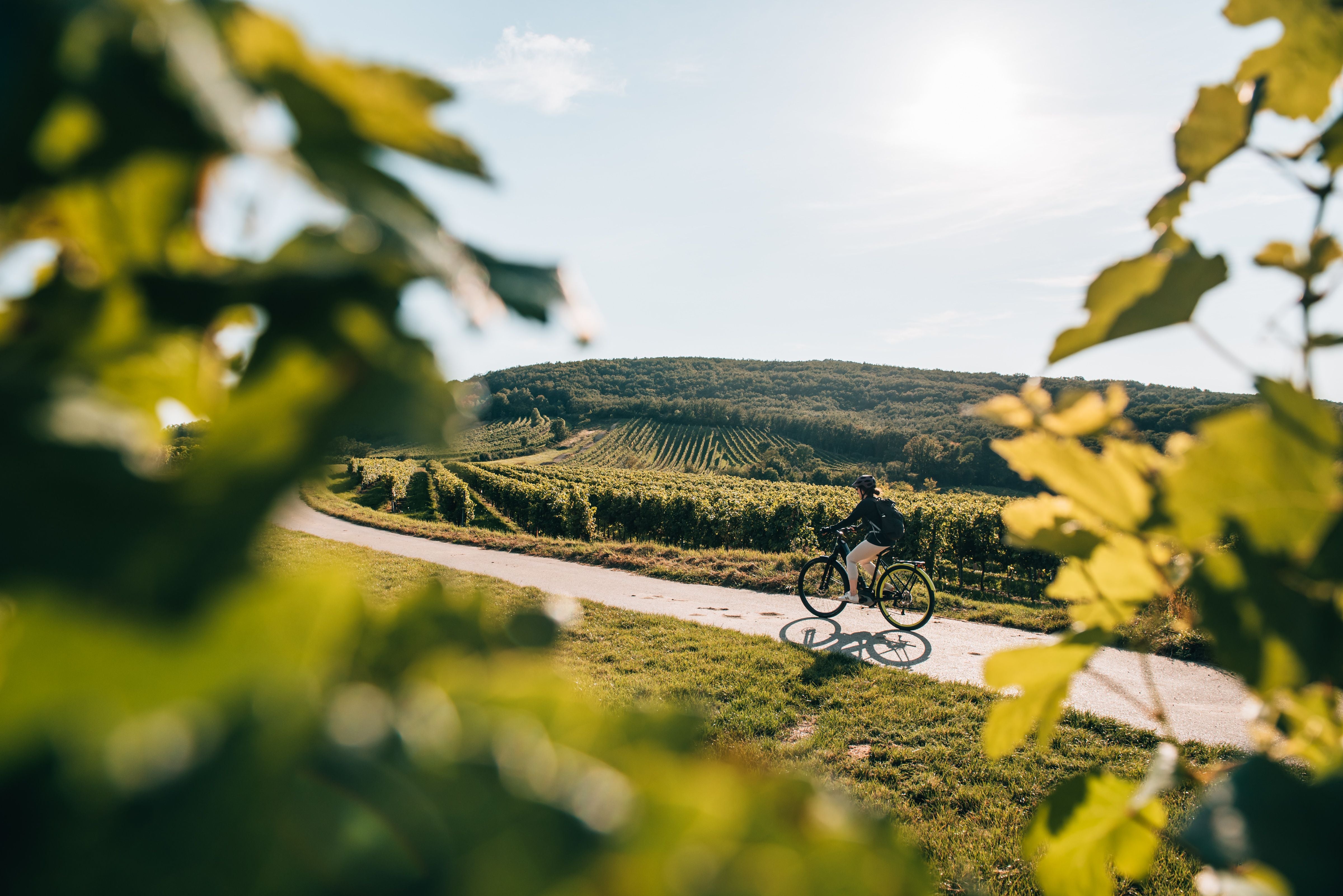 Radfahren in Mailberg.