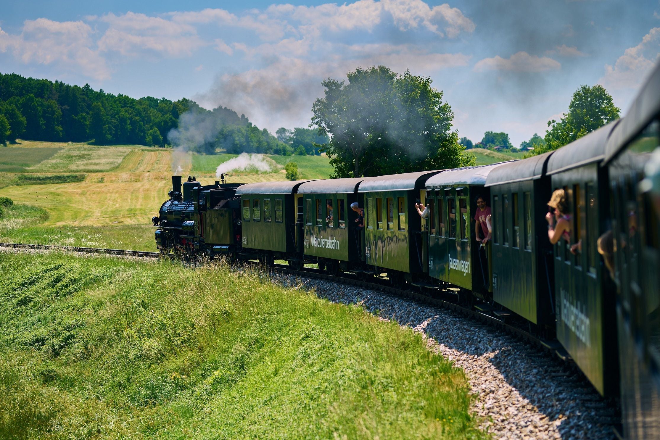 Eine historische Dampflok fährt mit offenen Waggons durch eine grüne Landschaft im Sommer.