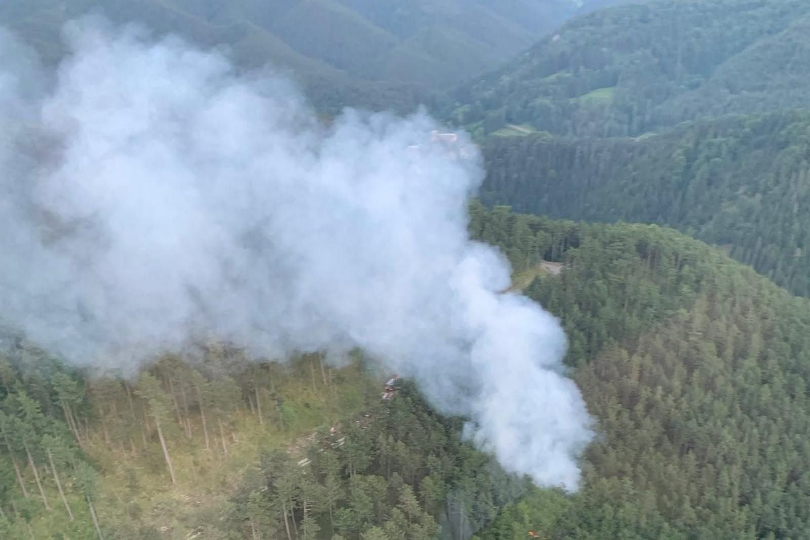 Dichter Rauch steigt von einem schwelenden Brand im Wald in die Luft auf.