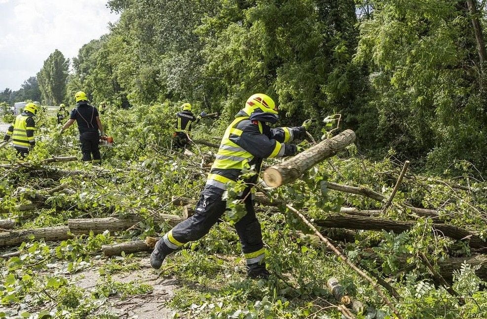 Feuerwehrleute räumen nach einem Unwetter umgestürzte Bäume und Äste von einer Straße.