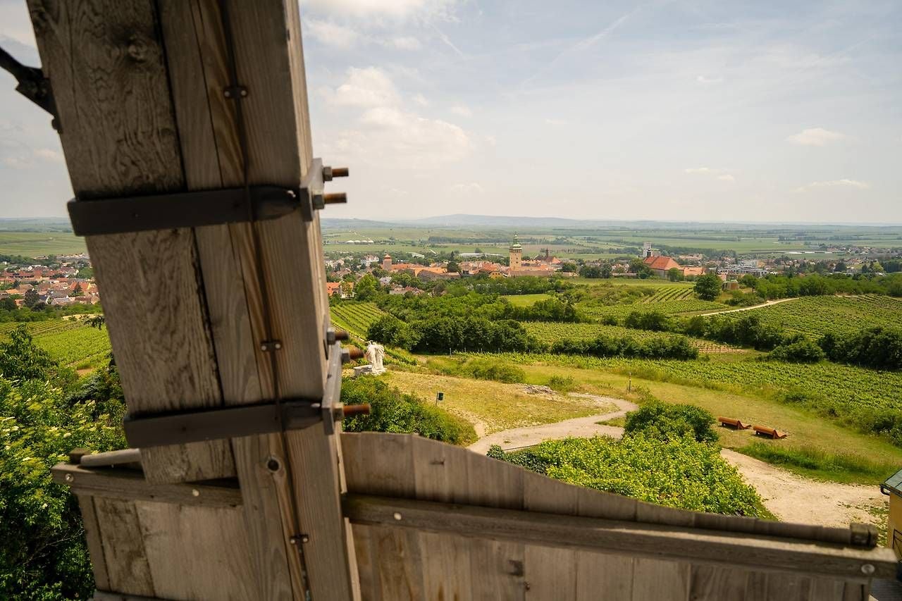 Blick von einer Windmühle über Weinberge und auf Retz mit Kirchturm in der Ferne.