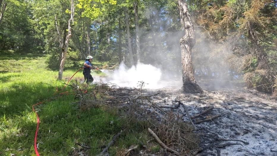 Ein Feuerwehrmann löscht mit einem Schlauch einen glimmenden Waldbrand in einem Waldgebiet.
