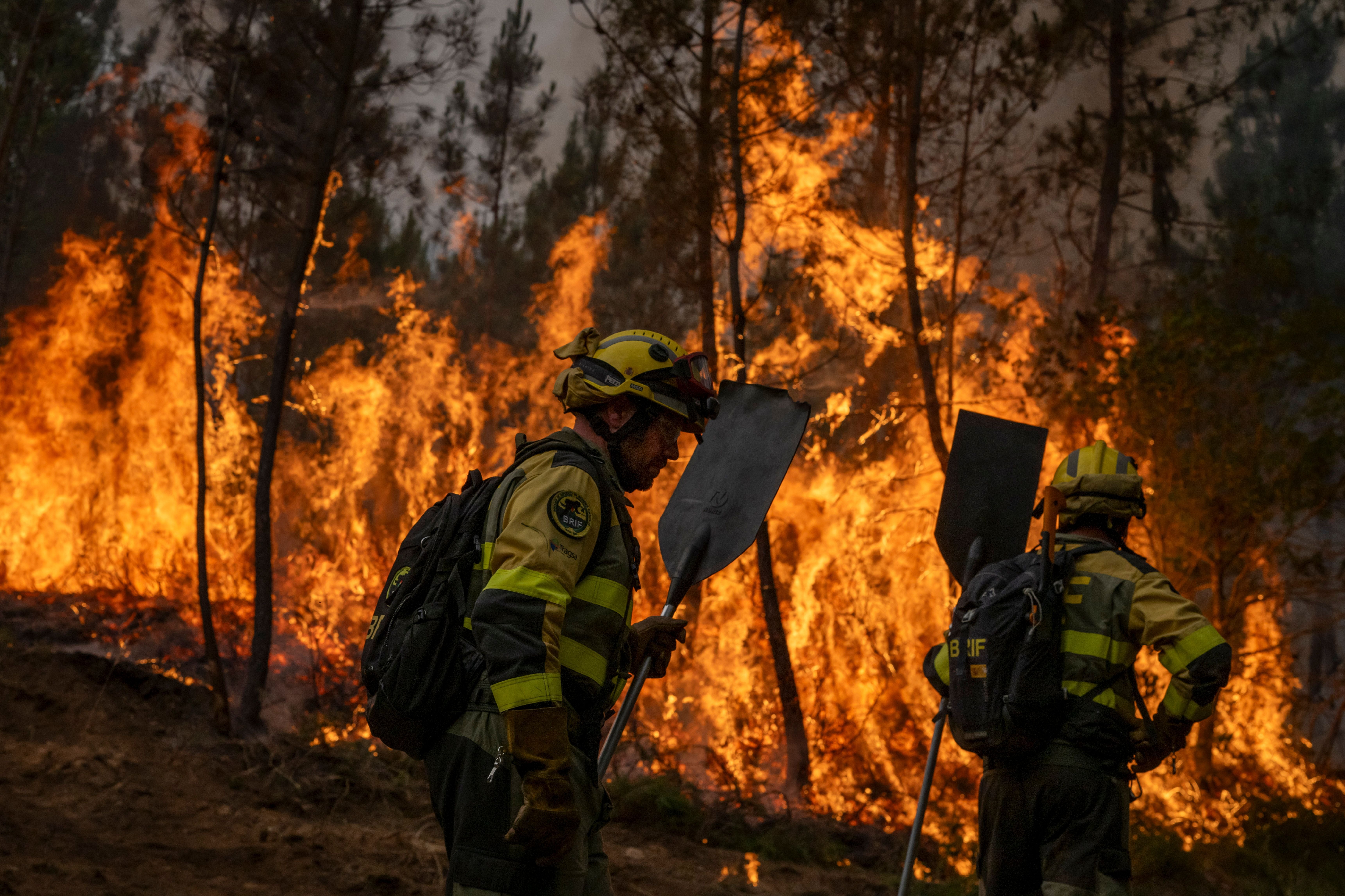 Zwei Feuerwehrleute bekämpfen einen großen Waldbrand in einem Waldgebiet.