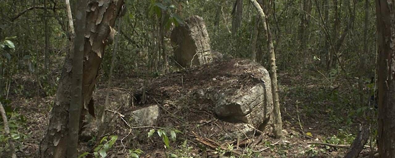 Großer, moosbedeckter Maya-Stein im dichten Wald zwischen Bäumen.