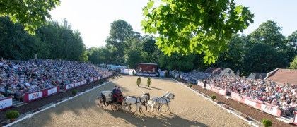 Kutschfahrt mit vier weißen Pferden vor großem Publikum bei der Lipizzanergala im Freien.