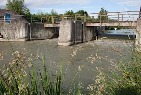 Stauwehr an einem Fluss, vorne Gras, über dem Wehr eine Brücke mit Geländer.