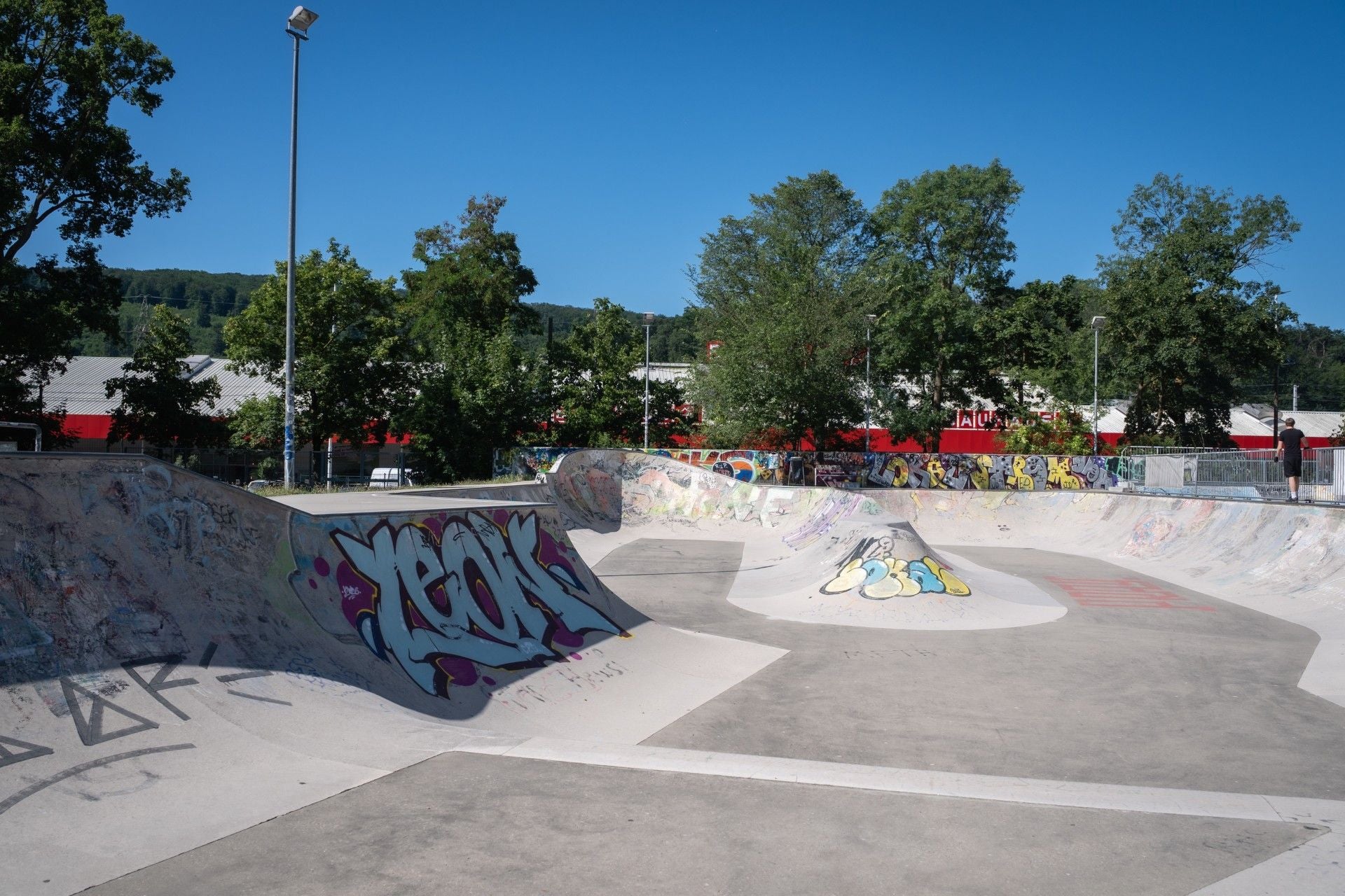 Leerer Skatepark mit bunten Graffiti an den Rampen, Bäumen im Hintergrund und blauem Himmel.