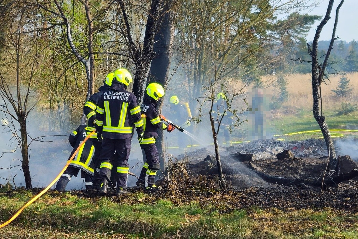 Feuerwehrleute löschen ein Feuer im Wald, dichter Rauch liegt über dem verbrannten Boden.