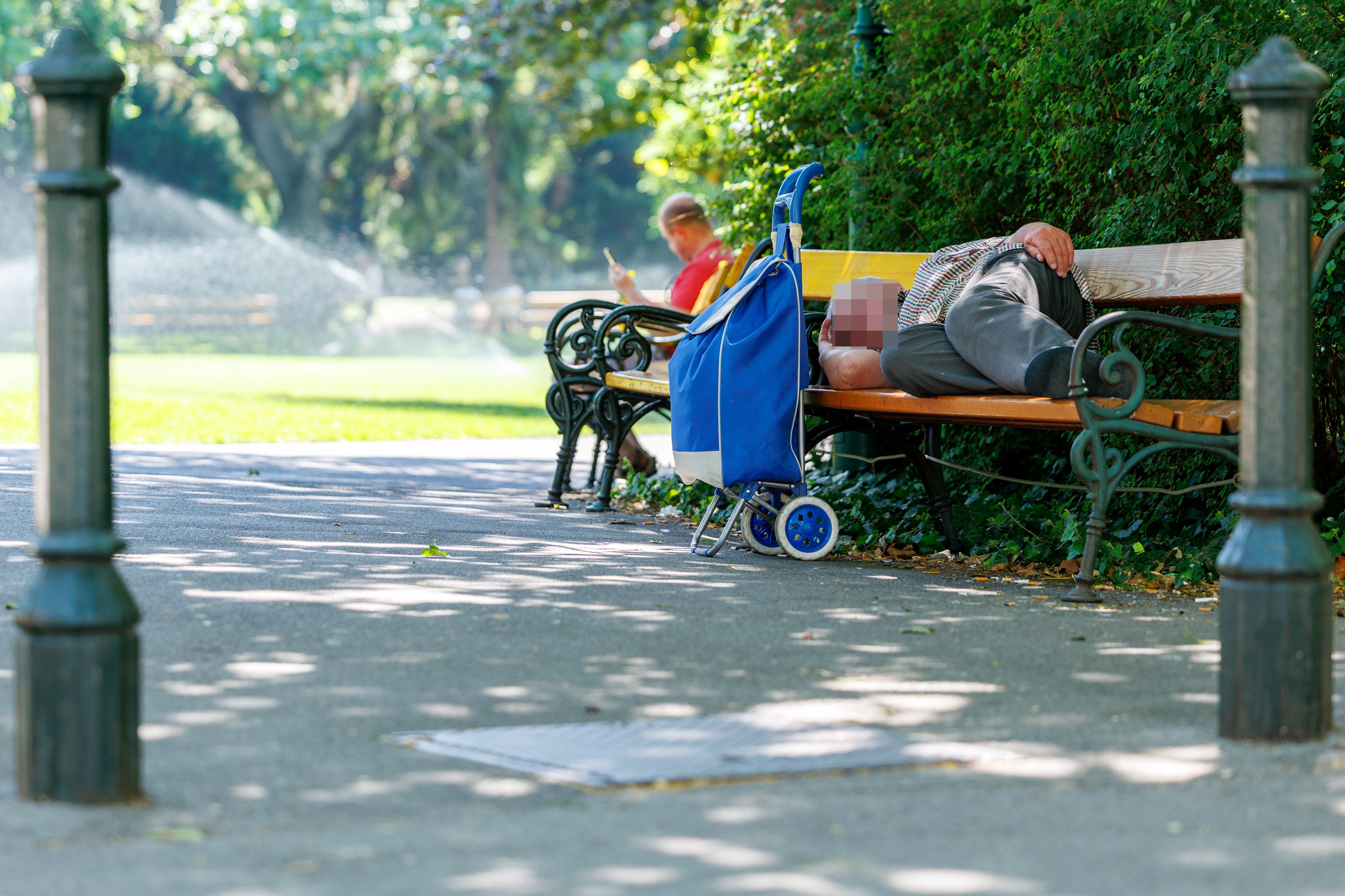 Eine ältere Person liegt mit einem blauen Trolley im Schatten auf einer Parkbank.