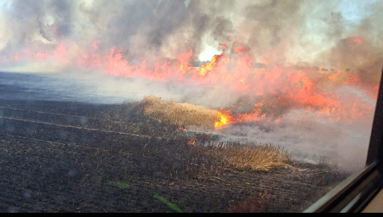 Großes Feuer mit dichten Rauchwolken auf einem brennenden Feld in Niederösterreich.