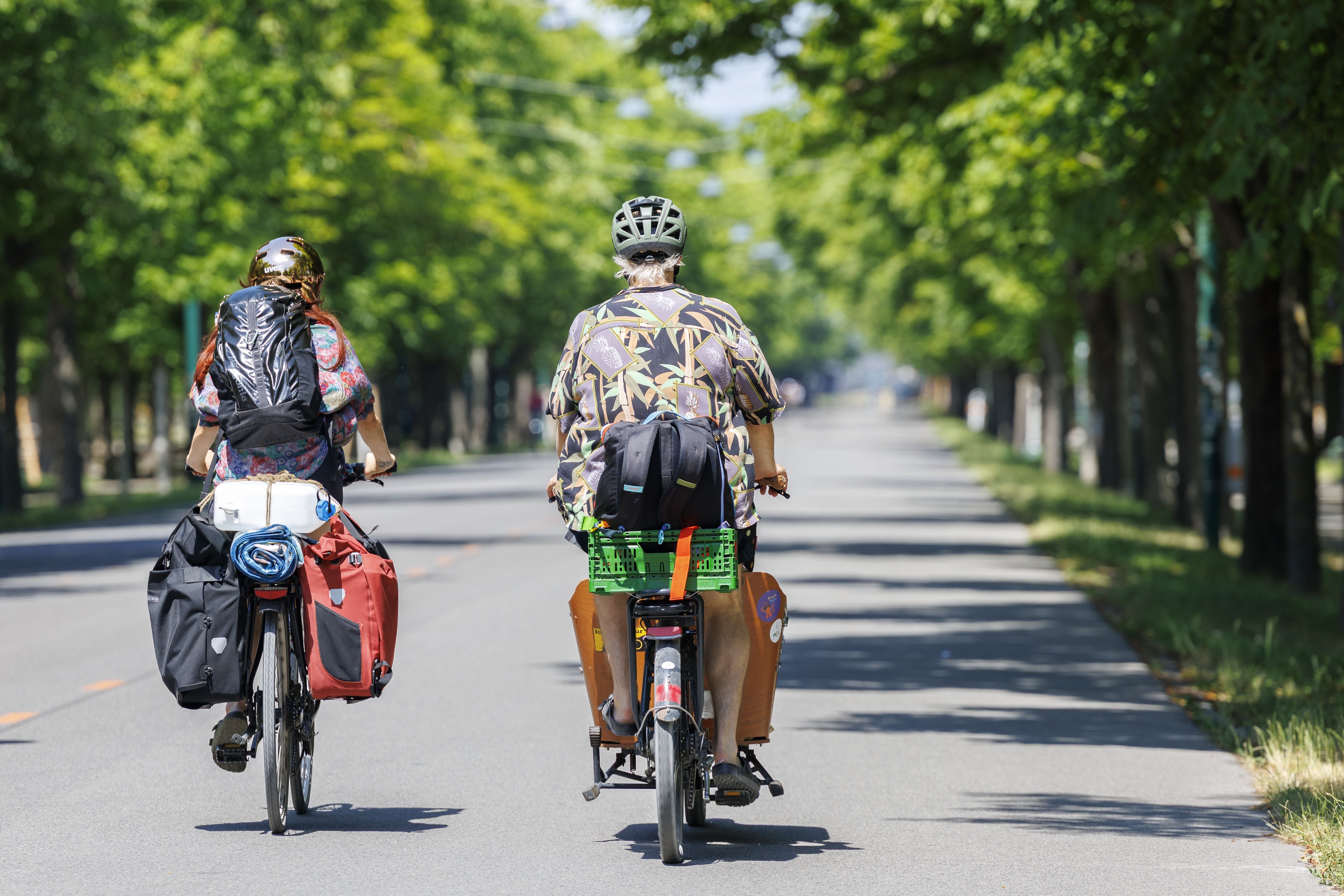 Zwei bepackte Radfahrer fahren an einem sonnigen Tag auf einer von Bäumen gesäumten Straße.