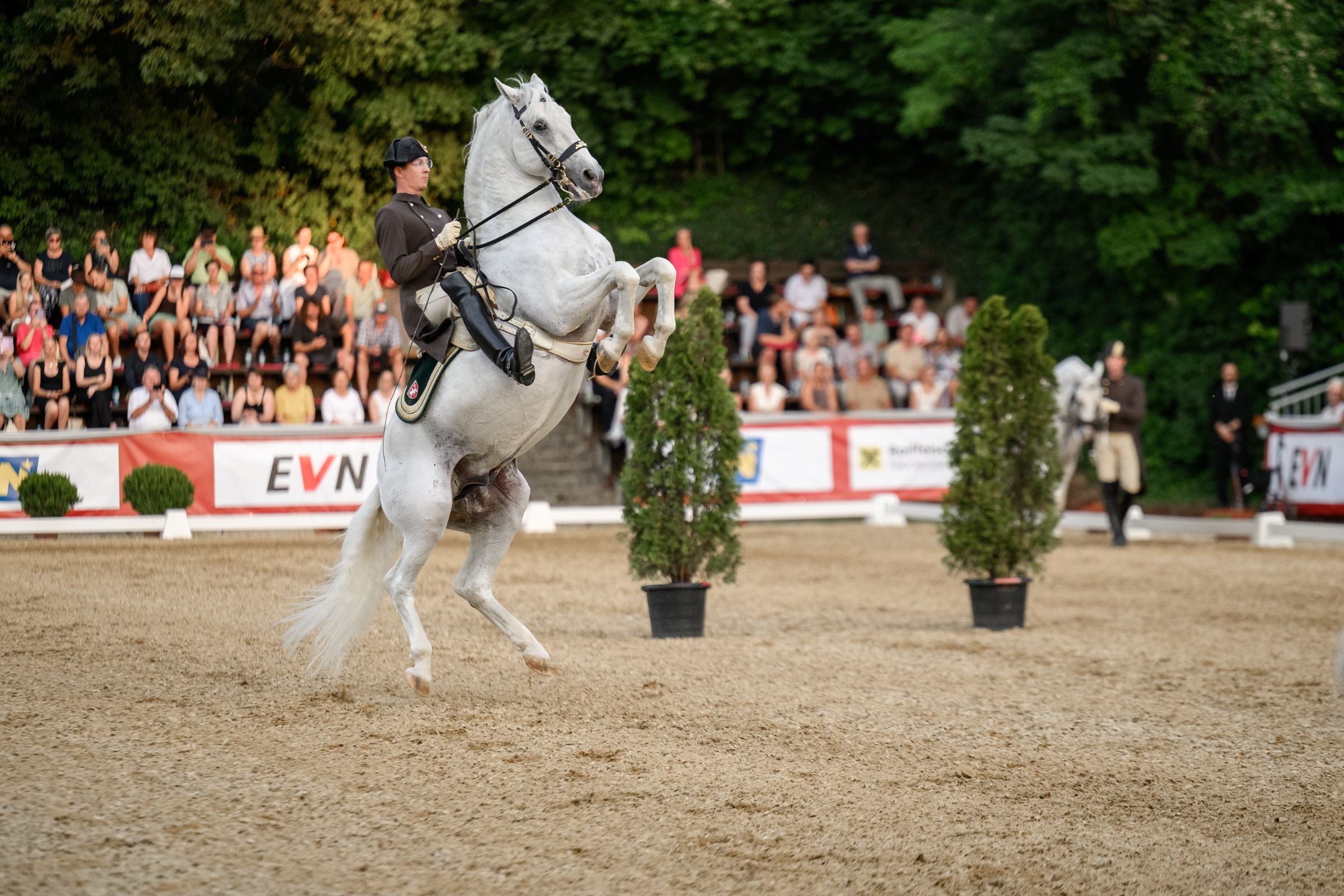 Lipizzanergala am Heldenberg