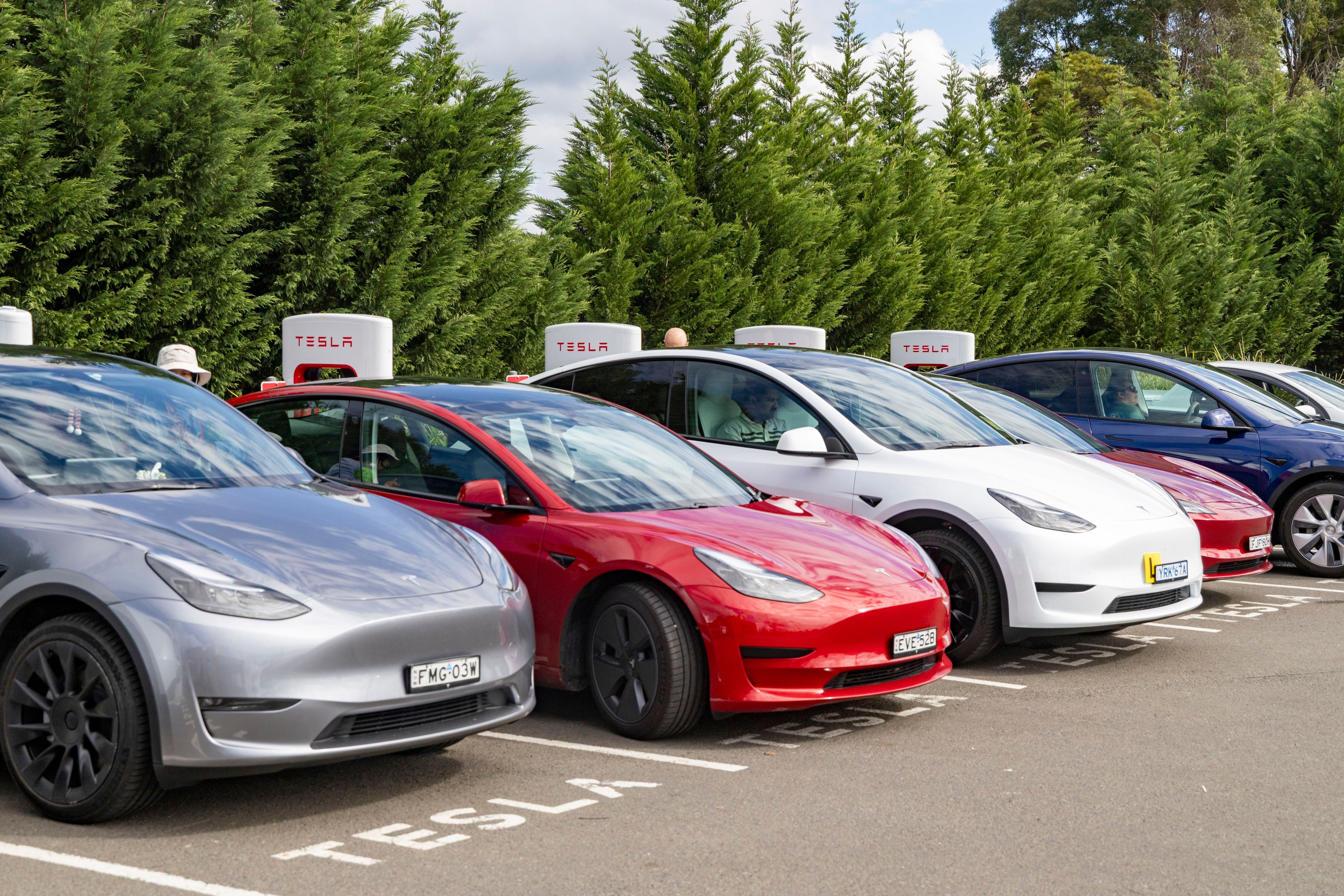 Mehrere Tesla E-Autos laden an Supercharger-Stationen in einer grünen Umgebung.