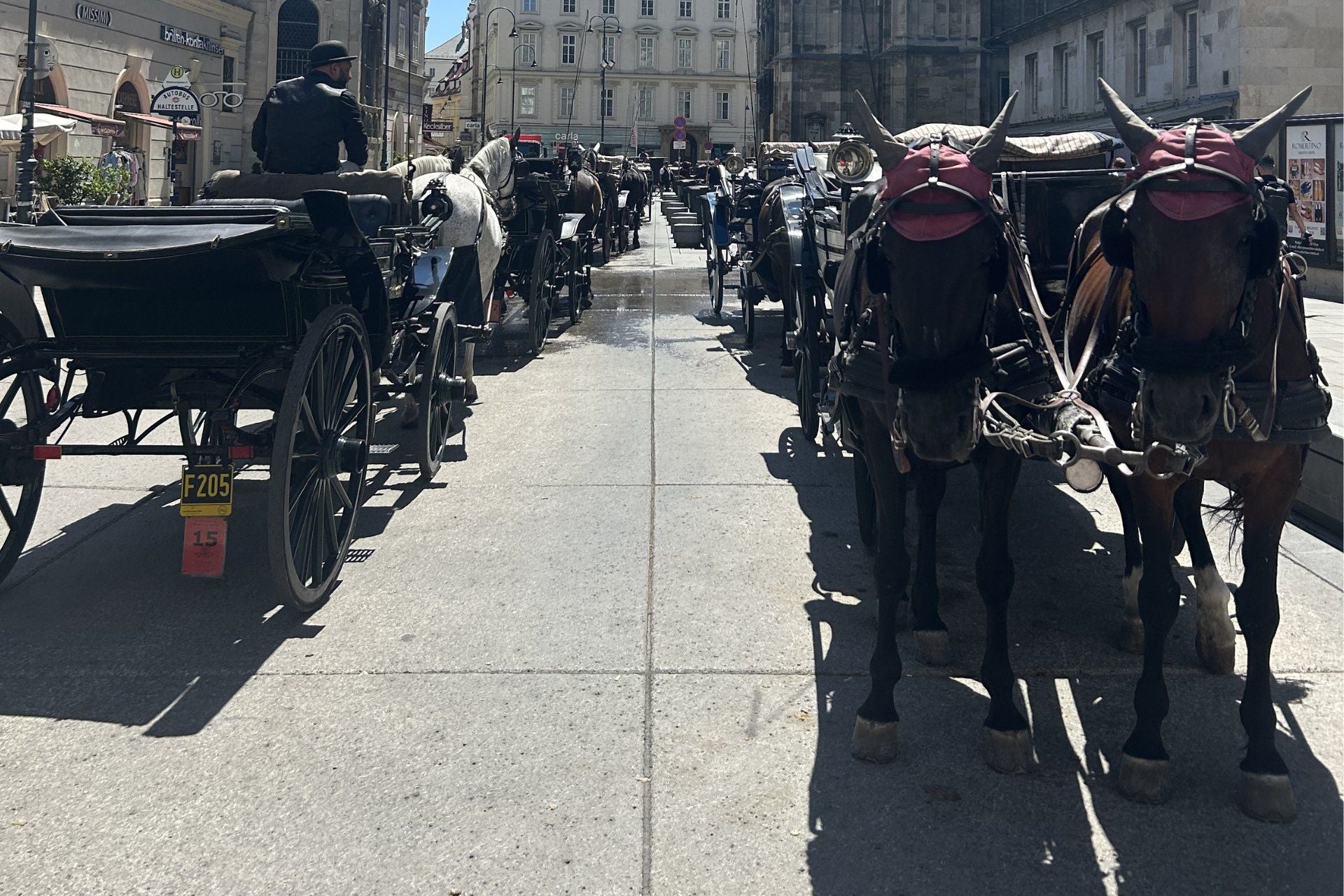 Mehrere Fiaker mit Pferden und Kutschen stehen in einer Reihe auf einer sonnigen Straße.