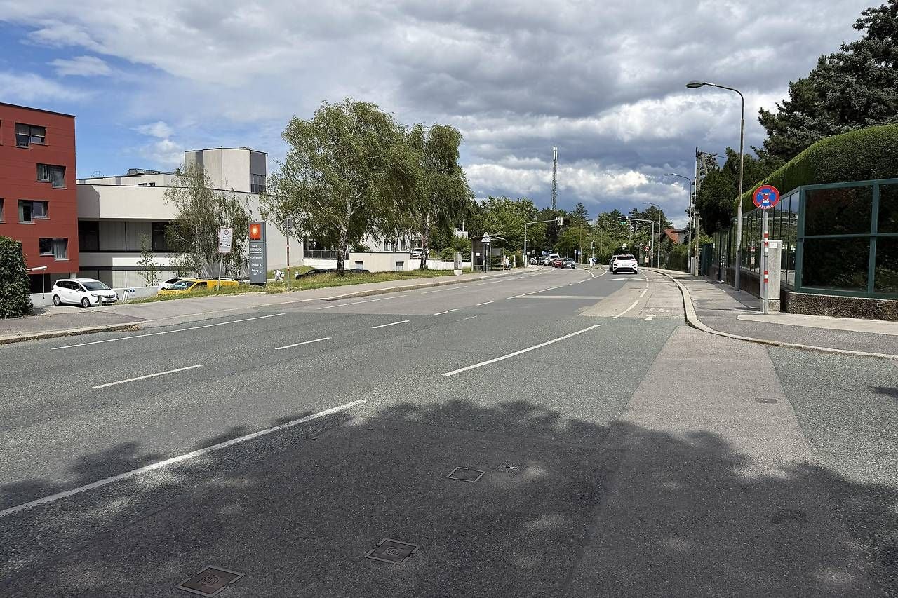 Straßenansicht der Rosenhügelstraße mit Autos, Gebäuden, Bäumen und bewölktem Himmel.