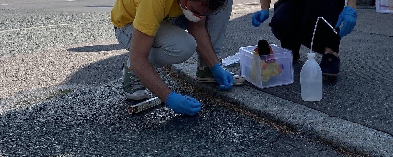 Zwei Personen nehmen mit Handschuhen Proben von einer Straße und sammeln sie in Behältern.
