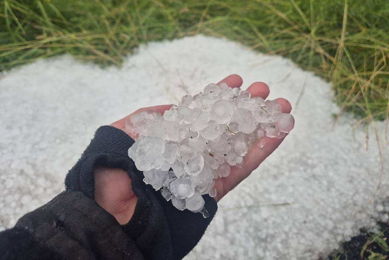 Hand hält große Hagelkörner vor einer mit Hagel bedeckten Wiese.