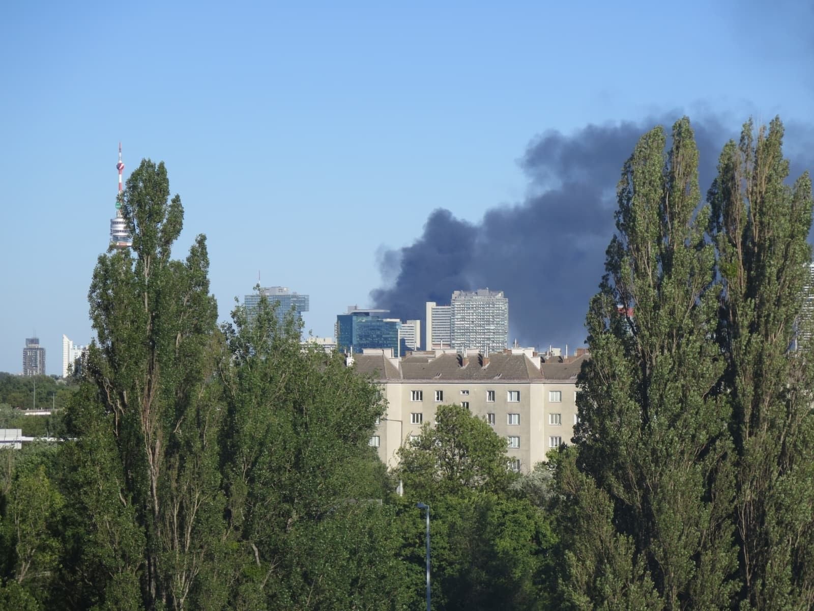 Dichter schwarzer Rauch steigt hinter Hochhäusern in einer Stadt mit Bäumen im Vordergrund auf.
