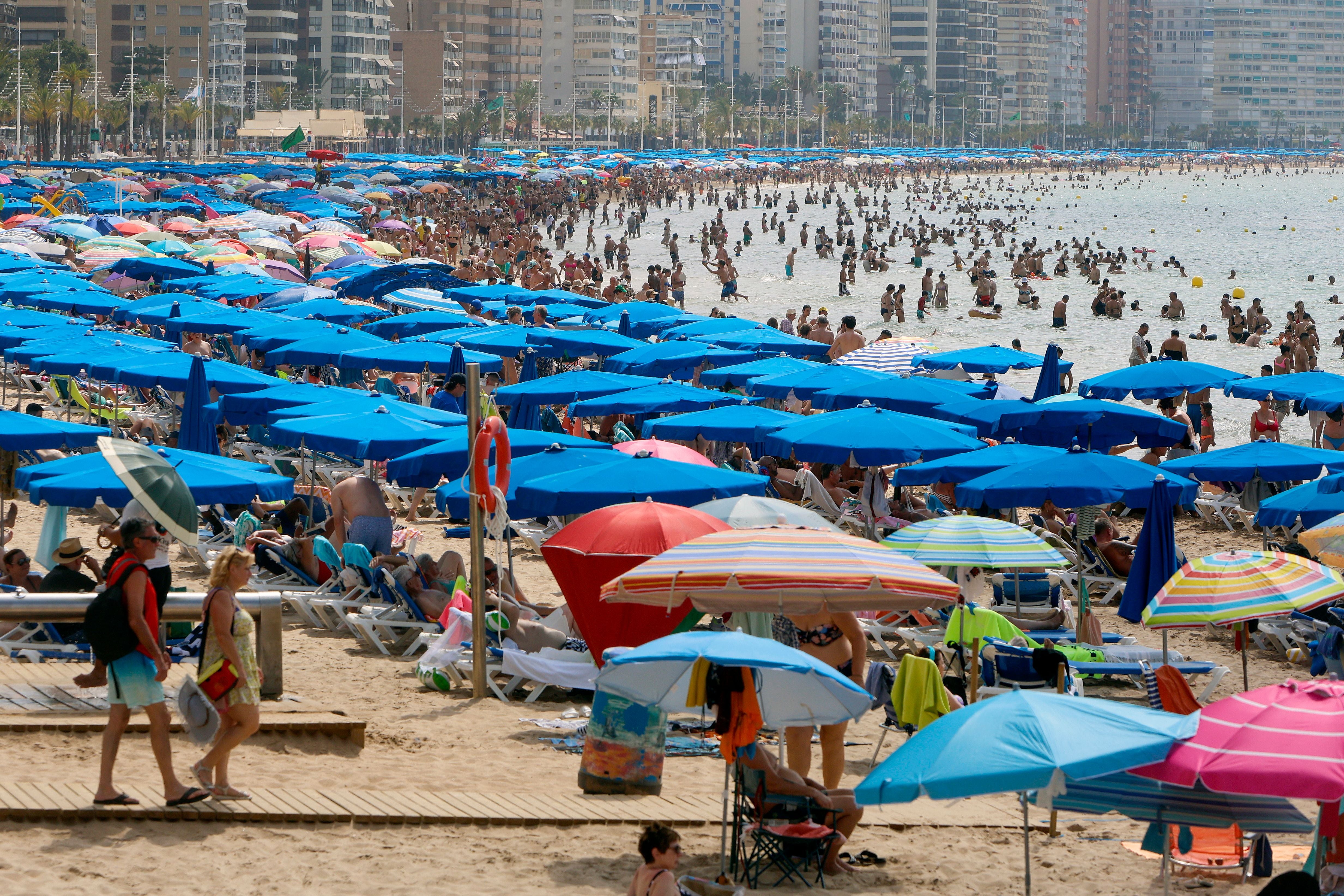 Viele Menschen unter bunten Sonnenschirmen und im Wasser am vollen Strand von Benidorm, Spanien.
