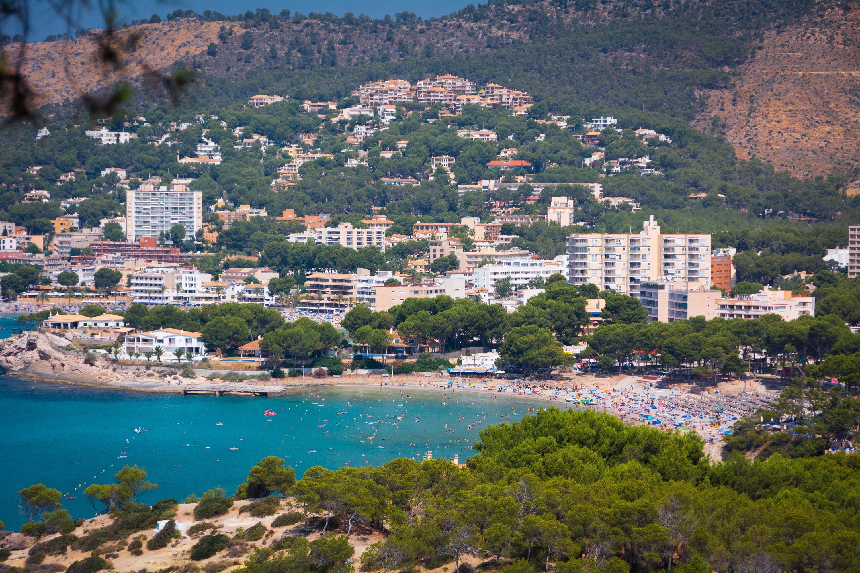 Blick auf Peguera und Cala Fornells mit Strand, Hotelgebäuden und grüner Landschaft auf Mallorca.
