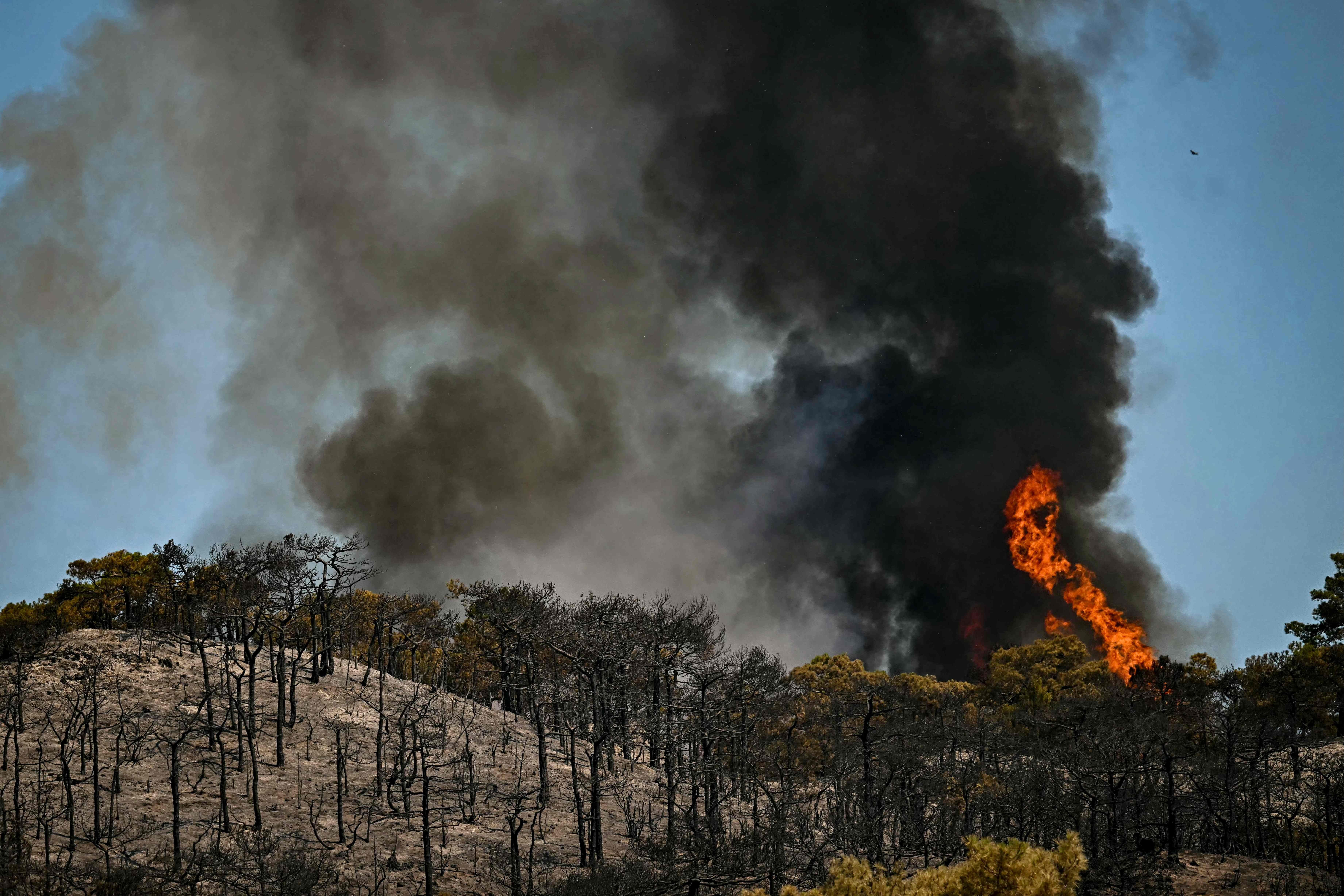 A wildfire rages on a hill in the southern France departmennt of Herault as 700 hundred firefighters backed by special aircraft battled to control a 'gigantic' blaze in nearby department of Pyrenees-Orientales, near the town of Carlencas-et-Levas on July 6, 2026. Wildfires raged across southern Europe, forcing thousands of people to evacuate their homes and prompting officials to ban spectators from a stage of the storied Tour de France cycling race. (Photo by Gabriel BOUYS / AFP)