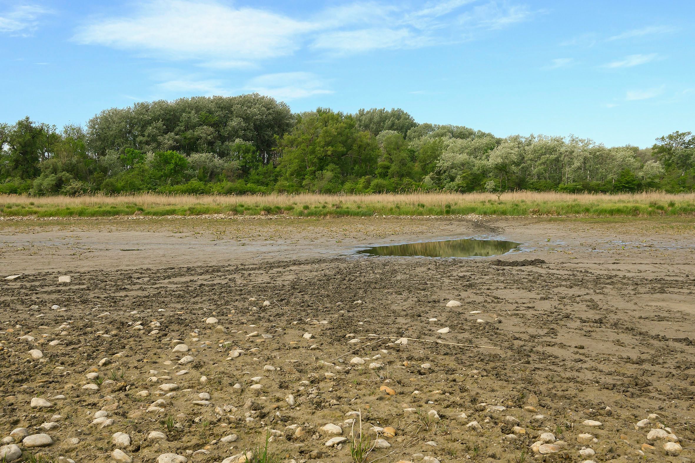 Trockener Flusslauf mit kleiner Wasserstelle, im Hintergrund Bäume und blauer Himmel.